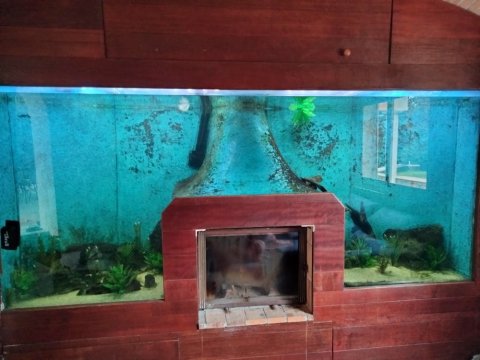 Transformer sa cheminée en un aquarium au Lavandou