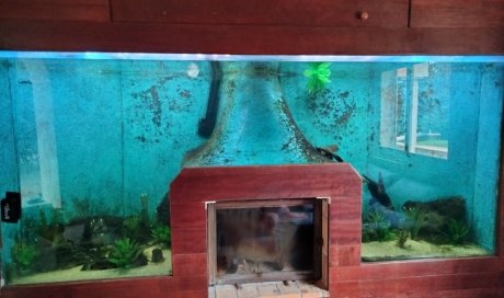 Transformer sa cheminée en un aquarium au Lavandou