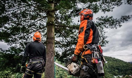 Débroussaillage forestier et protection incendie - Maison Line - Toulon